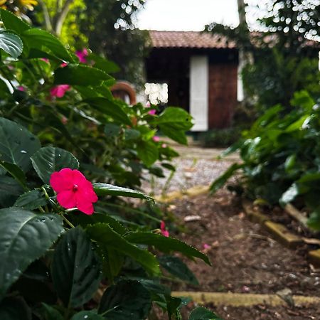 Отель Joaoemaria Da Ilha Прайя-де-Арасатиба Экстерьер фото